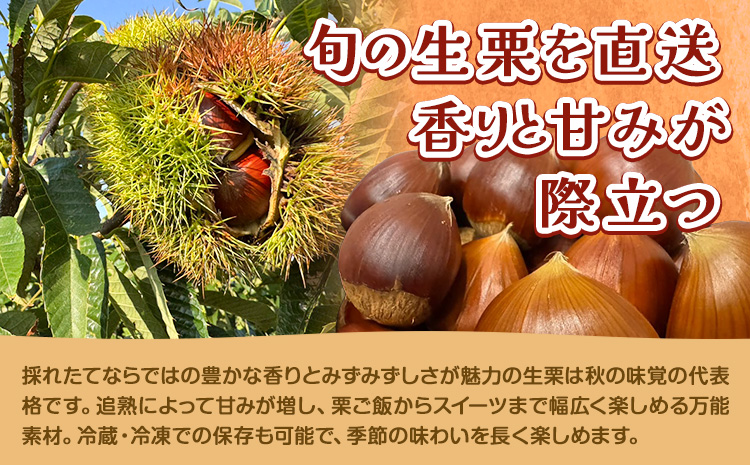 栗 むき栗 200g とくちゃん農園《30日以内に出荷予定(土日祝除く)》熊本県 菊池市 栗 くり 熊本県産 秋の味覚 果物 くだもの フルーツ デザート ご飯 ---314-4301---