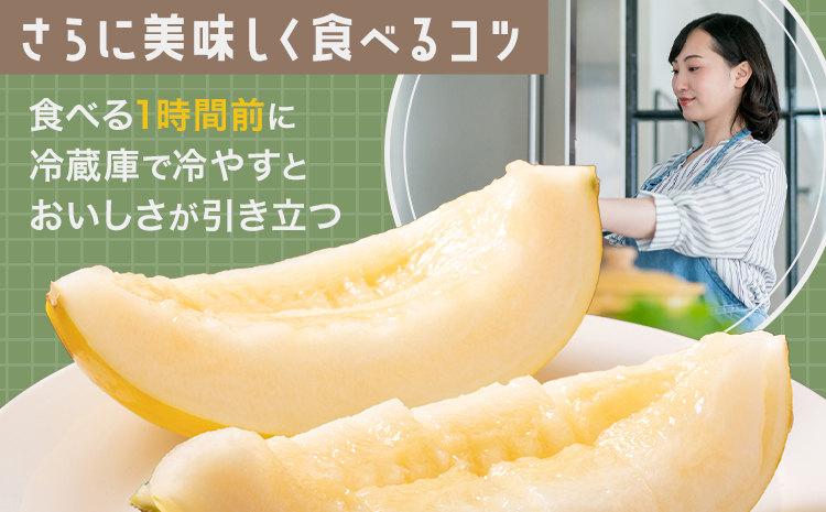 キンショーメロン 2kg(3～6玉) メロン《2026年4月上旬-7月上旬頃出荷》熊本県 菊池市 果物 フルーツ 金鐘 ノーネットメロン 黄色いメロン 菊池市産 熊本県産 九州産 送料無料---101-3002---