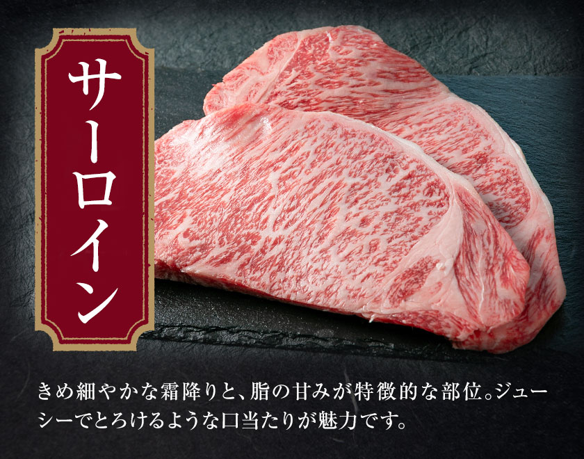 サーロイン ロース ステーキ 合計400g 200g×2枚 ブラックペッパー付 有限会社中田精肉店舗 《45日以内に出荷予定(土日祝除く)》 熊本県 菊池市 サーロイン ロース ステーキ お肉 和牛 黒毛和牛 熊本県産 九州産 国産---105-2092---