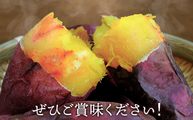 さつまいも 紅はるか 約5kg(9-38個) 株式会社GGYパッケージ《2025年11月下旬-2026年4月上旬頃出荷》熊本県 菊池市 さつまいも 紅はるか 芋 いも 野菜 国産 焼き芋 スイートポテト 芋ようかん 大学芋 干し芋 しっとり 旬 送料無料---124-2359---