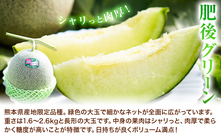 【全2回定期便】つるたファームから旬のお届け便 こだわりGreen 自然栽培米 ヒノヒカリ 5kg 肥後グリーン メロン 2玉 株式会社七城の恵み《メロン5月・米11月出荷予定》熊本県 菊池市 米 メロン ひのひかり 定期便 つるたファーム---126-1591---