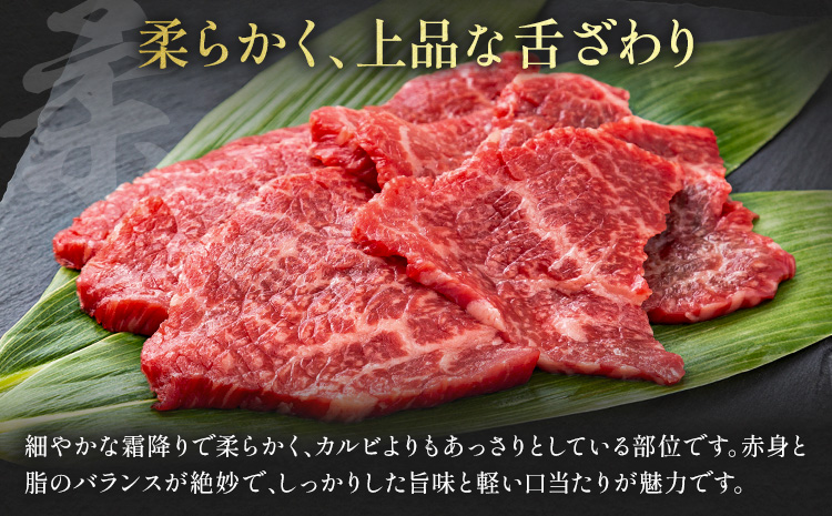 阿蘇あか牛 上ロース 合計約500g 約100g×5袋 株式会社LARKS《30日以内に出荷予定(土日祝除く)》お肉 和牛 あか牛 焼肉 熊本県産 九州産 国産 冷凍 送料無料---133-1868---