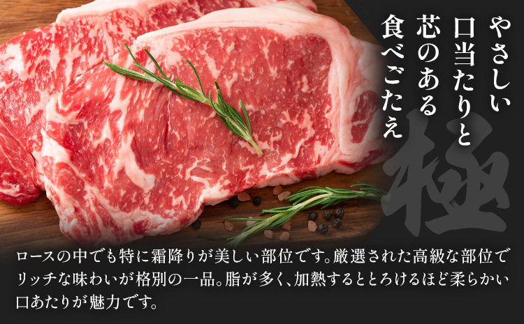 阿蘇あか牛 サーロイン 合計約500g 約100g×5袋 株式会社LARKS《30日以内に出荷予定(土日祝除く)》お肉 和牛 あか牛 ステーキ 熊本県産 九州産 国産 冷凍 送料無料---133-1869---