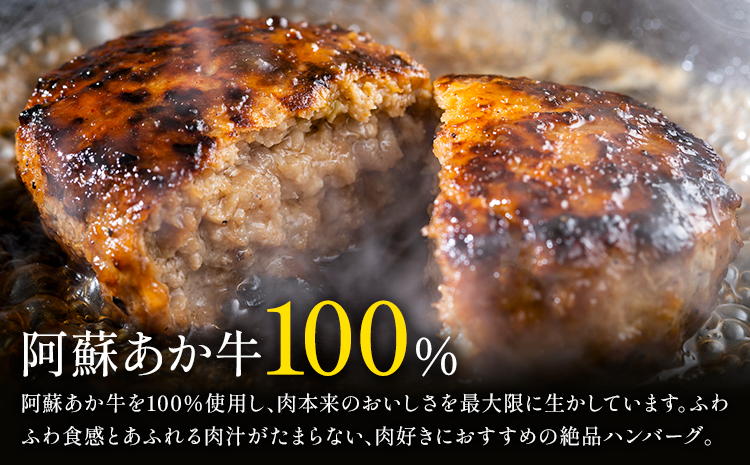 阿蘇あか牛ハンバーグ 750g 150g × 5個 株式会社LARKS《30日以内に出荷予定(土日祝除く)》ハンバーグ あか牛 牛肉 熊本県 冷凍 送料無料---133-1872---