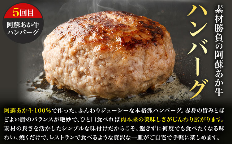 【6ヶ月定期便】阿蘇あか牛満喫セット 株式会社LARKS《お申し込み月の翌月から出荷開始》肉 牛肉 あか牛 ローストビーフ ハンバーグ 冷凍 名物 熊本県 毎月届く 送料無料---133-2114---