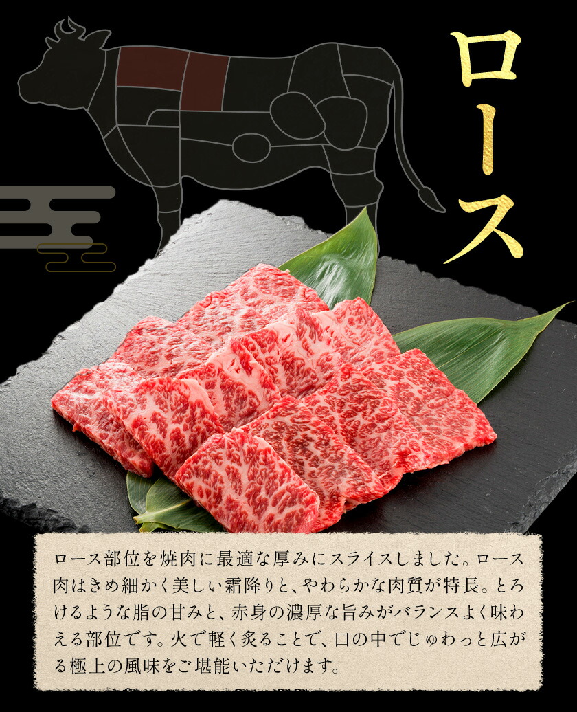 和王 ロース 焼肉用 約600g 約300g×2パック 菊池地域農業協同組合(JA菊池まんまキッチン)《90日以内に出荷予定(土日祝除く)》熊本県 菊池市 くまもと黒毛和牛 和牛 牛肉 お肉 焼き肉 熊本県産 九州産 国産 冷凍 送料無料---147-2122---