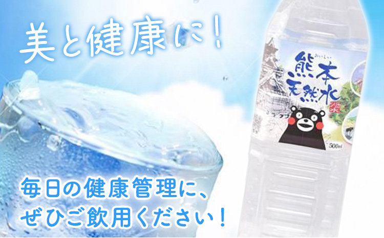 シリカ天然水 500ml×24本 《30日以内に出荷予定(土日祝除く)》 ---159-1874---