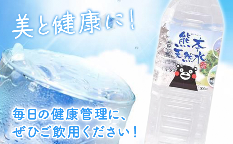 【6ヶ月定期便】シリカ天然水 500ml×42本 計252本 株式会社Foody's《申込月の翌月から出荷開始》熊本県 菊池市 シリカ水 飲料水 ミネラルウォーター 水 軟水 鉱水 ペットボトル 定期便---159-1878---