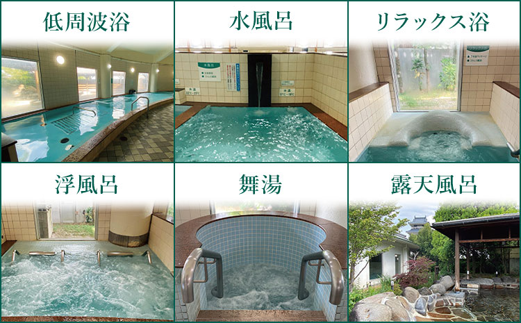 温泉 七城温泉ドーム 入浴券12枚綴り《30日以内に出荷予定(土日祝除く)》入浴券 チケット 温泉 熊本県 菊池市 七城温泉ドーム 送料無料---162-2472---