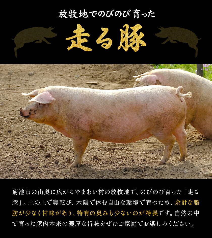 菊池やまあいの豚小間スライス 2kg 《90日以内に出荷予定》(土日祝除く)》1パック200g 豚肉 豚小間 スライス済み 小分け 熊本県産 九州産 国産 冷凍 送料無料---167-1902---