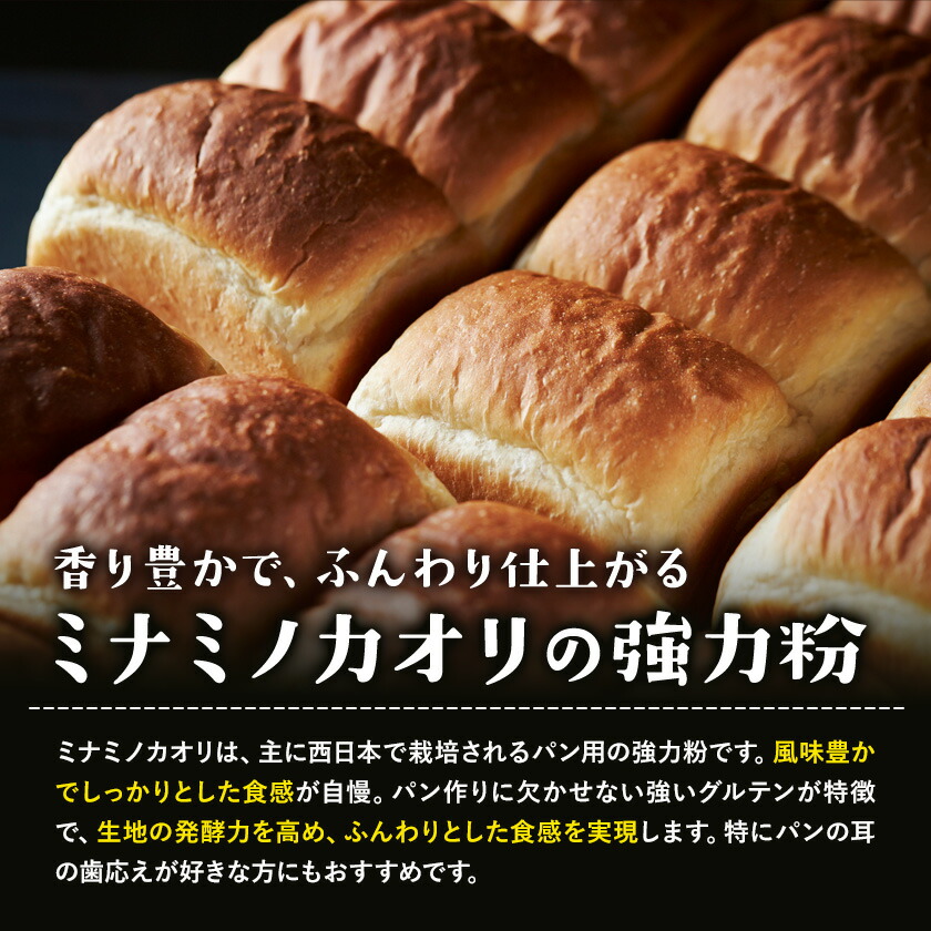 有機JAS小麦使用 強力粉 合計3kg 1kg×3袋 《30日以内に出荷予定(土日祝除く)》熊本県 菊池市 小麦粉 ミナミノカオリ パンづくり 粉類 国産 九州産 熊本県産 送料無料---171-1917---