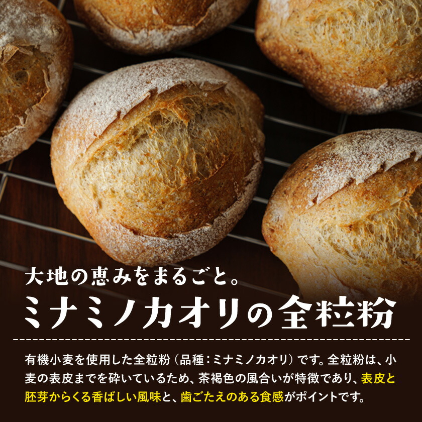 有機JAS 小麦 使用 全粒粉 3kg(1kg×3袋)---171-1918---