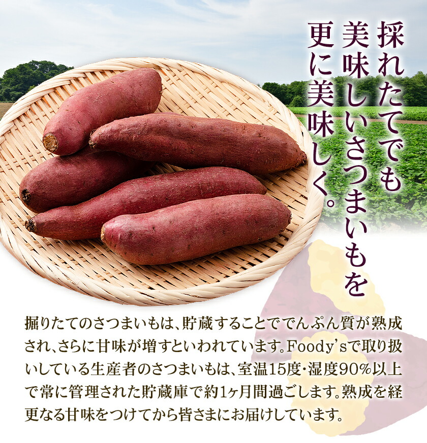 秀品 紅はるか約5kg S～2L混合 株式会社Foody’s 《90日以内に発送予定（土日祝を除く）》熊本県 菊池市 さつまいも 芋 紅蜜芋 焼き芋 野菜 菊池市産 熊本県産 九州産---177-2263---