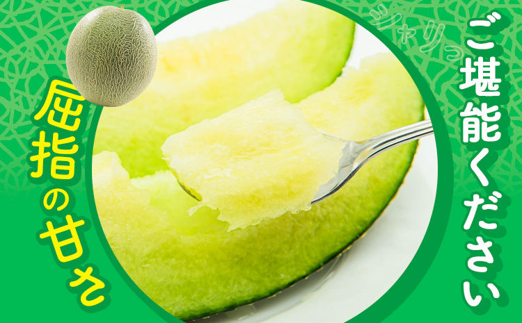 【先行予約】 メロン 肥後グリーンメロン 2玉 約 3kg ～ 4kg 株式会社Foody’s 食彩たかみ 《2026年5月下旬-7月下旬頃出荷》 熊本県 菊池市 フルーツ 果物 メロン 九州産 冷蔵 送料無料---177-2670---