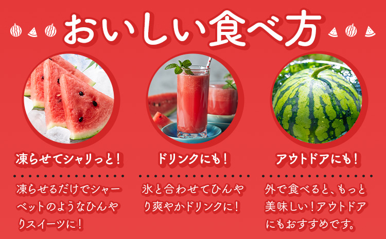 【先行予約】スイカ 小玉すいか 秀品 2玉 約 2kg ～ 3kg L ～ 3L 混合 株式会社Foody’s 食彩たかみ 《2026年5月下旬-7月下旬頃出荷》 熊本県 菊池市 フルーツ 果物 スイカ すいか 小玉 九州産 冷蔵 送料無料---177-2674---