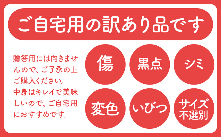 【先行予約】スイカ 訳あり 小玉すいか 2玉 約 2kg ～ 3kg M ～ 3L 混合 株式会社Foody’s 食彩たかみ 《2026年5月下旬-7月下旬頃出荷》 熊本県 菊池市 フルーツ 果物 スイカ すいか 訳あり 小玉 九州産 冷蔵 送料無料---177-2675---