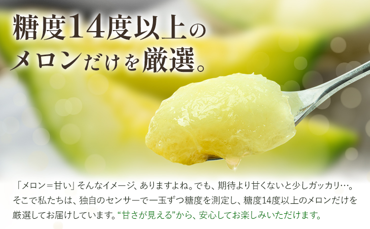 【先行予約】メロン 肥後グリーンメロン 特大 4L ～ 5L サイズ 2玉 約2～2.4kg×2 MOTOYAMA358FARM 《2026年4月中旬-6月中旬頃出荷》 熊本県 菊池市 メロン 果物 フルーツ 九州産 国産 送料無料---180-2218---