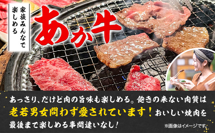 あか牛 焼肉用カット 500g 五右衛門フーズ 《90日以内に出荷予定(土日祝除く)》 熊本県 菊池市 牛肉 肉 国産 熊本県産 ブランド牛 絶品 贅沢 高級 焼肉---187-2327---