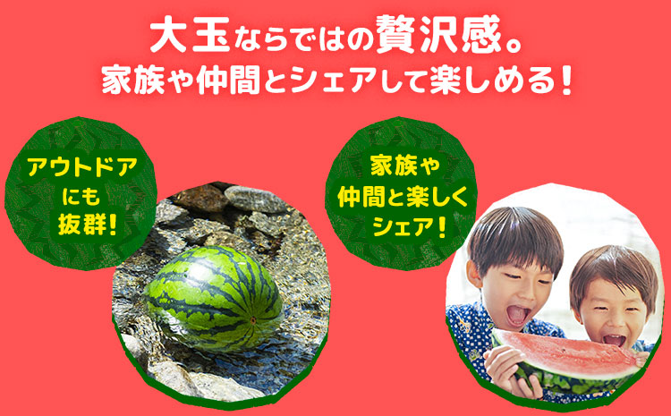 【先行予約】大玉すいか 2玉約10kg 日本フルーツ株式会社《4月下旬-7月下旬頃出荷》熊本県 菊池市 すいか スイカ 大玉 熊本県産---308-5012---