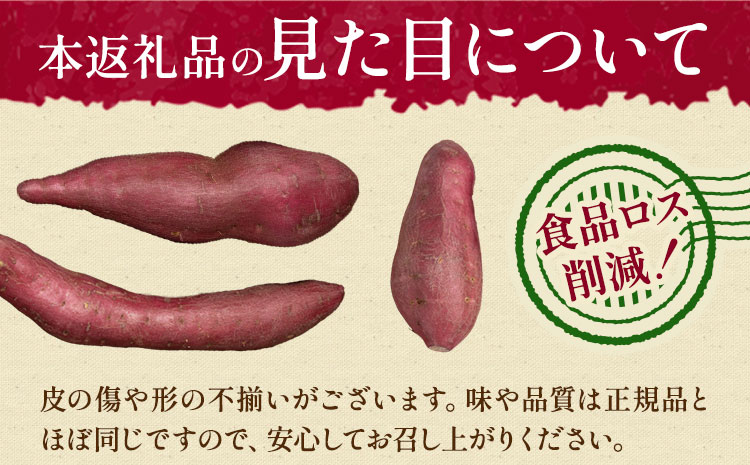 【先行予約】訳あり さつまいも 約5kg 日本フルーツ株式会社《2026年10月上旬-11月中旬頃出荷》熊本県 菊池市 さつまいも サツマイモ 訳あり 熊本県産---308-5005---