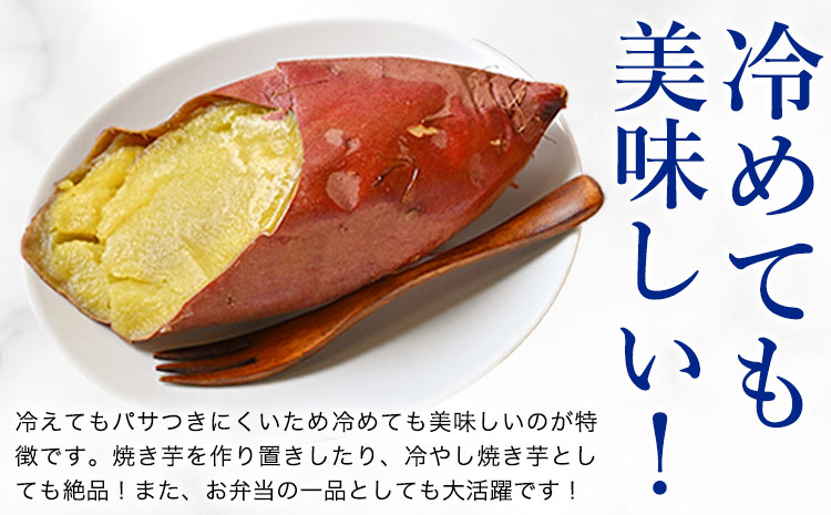 【先行予約】シルクスイート さつまいも 約5kg 日本フルーツ株式会社《2026年11月上旬-12月中旬頃出荷》熊本県 菊池市 さつまいも サツマイモ シルクスイート 熊本県産---308-5006---