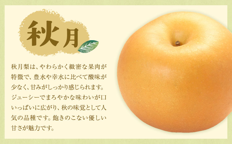 【先行予約】旬の梨 品種おまかせ 約3kg 日本フルーツ株式会社《2026年8月上旬-10月上旬頃出荷》熊本県 菊池市 梨 なし 豊水 秋月 新高 和梨 熊本県産---308-5002---