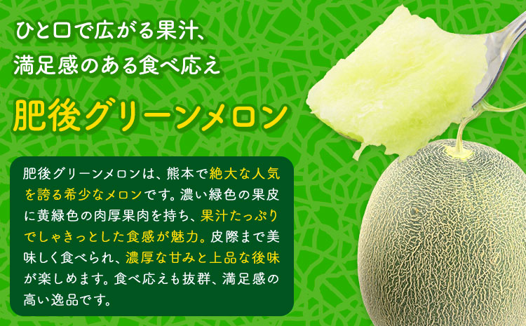 小玉スイカ&肥後グリーンメロン 食べ比べ 各1玉(計2玉 約3.5kg)  日本フルーツ株式会社 《5月中旬-7月末頃出荷》 熊本県 菊池市 西瓜 メロン 熊本県産---308-5008---