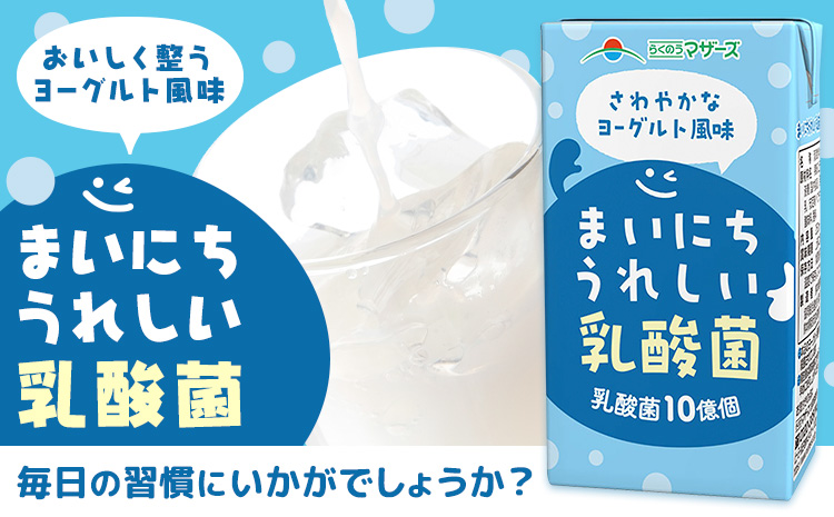常温保存可能【1ヶ月毎12回定期便】まいにちうれしい 乳酸菌 ヨーグルト風味 250ml×24本 計288本 合同会社たべたせいか《お申し込みの翌月から出荷》熊本県 菊池市 紙パック ヨーグルト飲料 乳酸菌 ドリンク 飲み物 飲料 常温保存 国産 熊本県産 ---0016-3086---