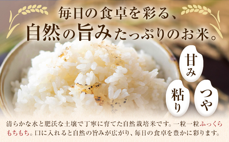 令和7年産 高野さんちの自然栽培米 白米 2kg 通常パッケージ 株式会社有機農場《30日以内に出荷予定(土日祝除く)》熊本県 菊池市 米 お米 精米 ヒノヒカリ ひのひかり 自然栽培米 七城物語 熊本県産---045-3001---