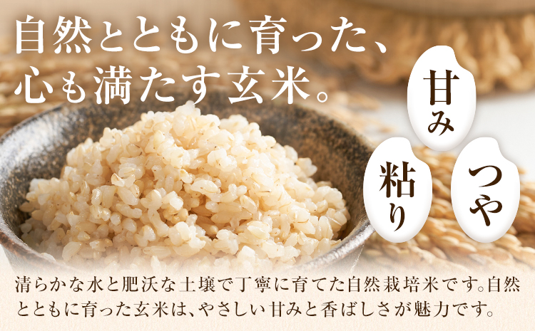 【12ヶ月定期便】令和7年産 高野さんちの自然栽培米 玄米 計120kg(2.5kg×4袋/月×12回) 《真空パック》 株式会社有機農場《お申し込み月の翌月から出荷開始》熊本県 菊池市 米 お米 ヒノヒカリ ひのひかり 自然栽培米 七城物語 熊本県産 真空パック---045-3040---