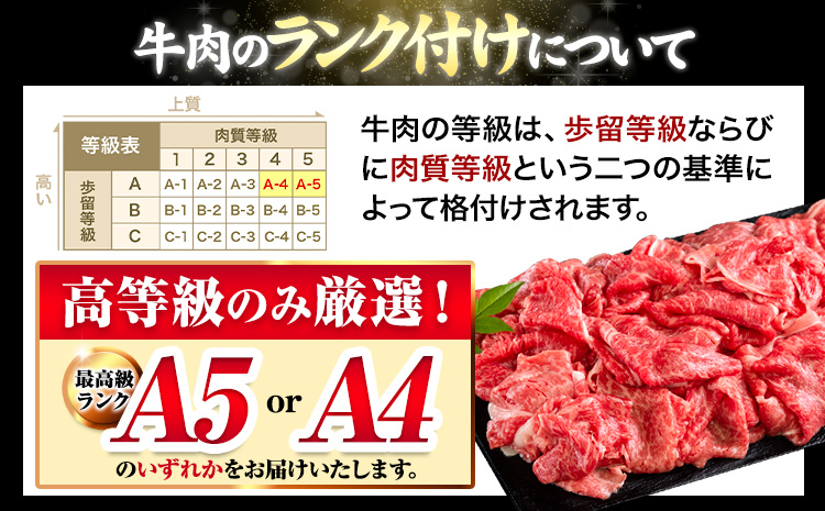くまもと黒毛和牛 特上切り落とし ウデ・モモ 切り落とし 1500g 牛肉 冷凍 《30日以内に出荷予定(土日祝除く)》冷凍庫 個別 取分け 小分け 個包装 モモ スライス 肉 お肉 しゃぶしゃぶ すき焼き A5 A4---300-5013---