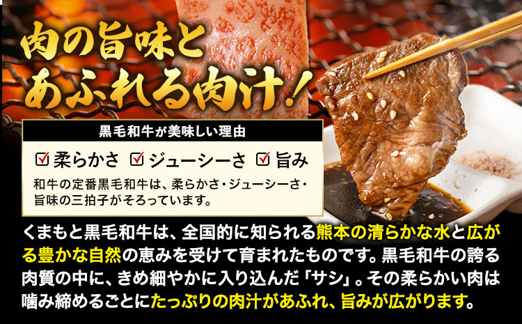 くまもと黒毛和牛 サーロイン リブロース 内モモ 希少部位 500g 牛肉  《30日以内に出荷予定(土日祝除く)》---300-5028---