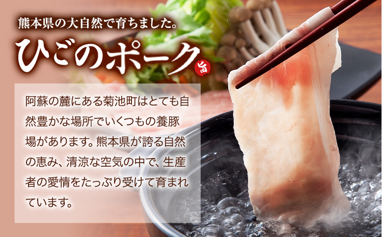 豚肉 ひごの ポーク バラエティ セット 4.8kg 豚肉 しゃぶしゃぶ 切り落とし 豚ロース バラ 豚バラ スライス 以上 真空 お楽しみセット 不揃い 数量限定 簡易包装 冷凍配送 小分け 《7-14日以内に出荷予定(土日祝除く)》 豚肉---300-5148---