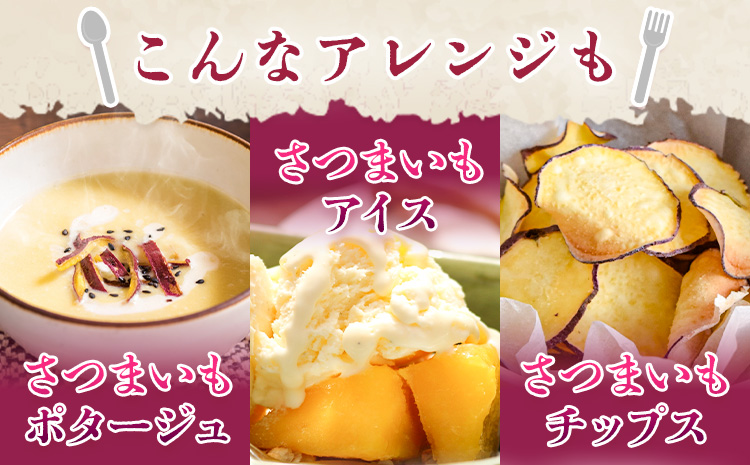 さつまいも 熊本県産 紅はるか 5kg 日本フルーツ株式会社《11月中旬-6月上旬頃出荷》熊本県 菊池市 さつまいも 薩摩芋 からいも 紅はるか デザート 料理 おやつ 蜜芋 野菜 芋 いも---308-0002---