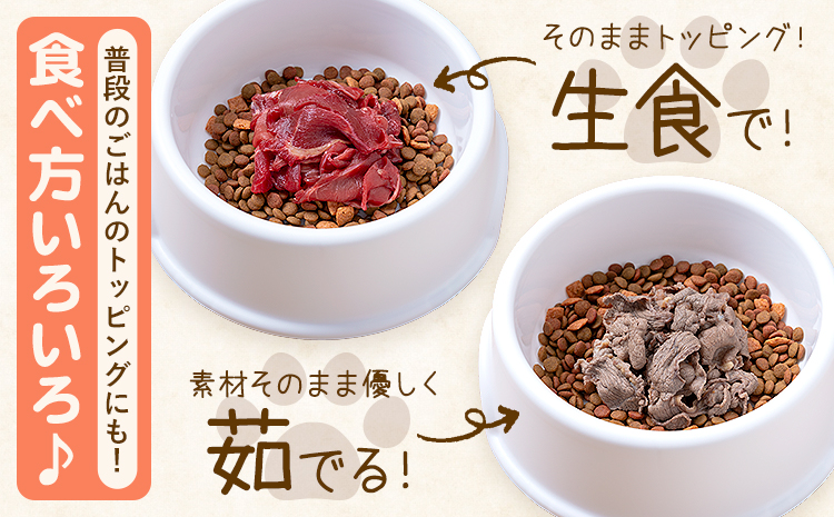 【3ヶ月定期便】ペット用馬肉 1kg × 3回 計3kg 五右衛門フーズ《申込月の翌月から出荷開始》 ペット用 犬用 肉 馬肉 熊本県 菊池市---187-2341---