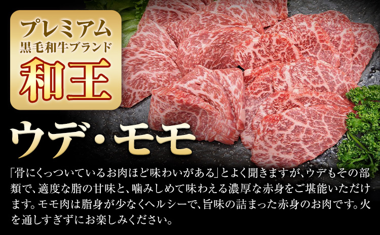 熊本県産A5等級和王 ウデ・モモ 焼肉用 約400g (約400g×1パック) 帝神志方ミート株式会社《90日以内に出荷予定(土日祝除く)》熊本県 菊池市 牛肉 肉 お肉 和牛 くまもと黒毛和牛 熊本県産 A5 和王 ウデ肉 モモ肉 焼肉---0149-3012---