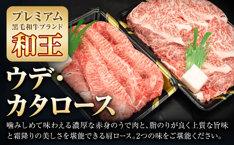 熊本県産A5等級和王 カタロース 約600g ウデスライス 約400g 計1kg 帝神志方ミート株式会社《90日以内に出荷予定(土日祝除く)》熊本県 菊池市 牛肉 肉 お肉 和牛 くまもと黒毛和牛 熊本県産 A5 和王 カタロース 肩ロース うでスライス うで ウデ スライス---0149-3008---