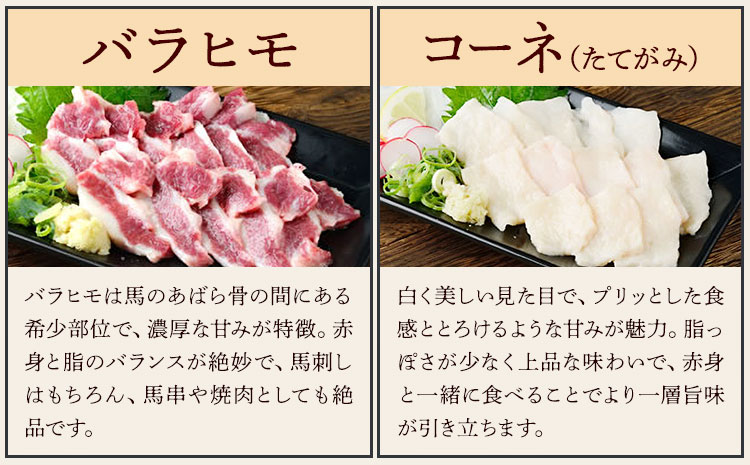 馬刺し 5種 盛り合わせ セット 計250g 5人前 熊本直送 赤身 霜降り フタエゴ バラヒモ コーネ 株式会社Foody’s《30日以内に出荷予定(土日祝除く)》熊本県 菊池市 馬刺し 馬肉 肉 お肉---159-4302---