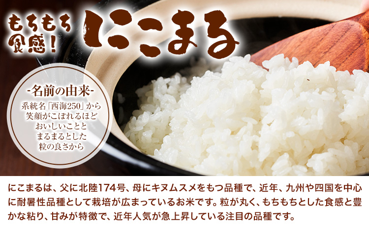 令和7年産 つるたファームの米 自然にこまる 自然栽培米 にこまる 5kg 株式会社七城の恵み《30日以内に出荷予定(土日祝除く)》熊本県 菊池市 米 にこまる つるたファーム---126-2521---