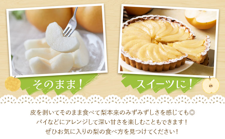 【先行予約】梨 訳あり梨 約4kg-4.5kg(10-18玉) 《2026年8月下旬-10月下旬頃出荷》 株式会社Foody’s なし 和梨 フルーツ 果物 ご家庭用 不揃い キズあり 菊池市産 熊本県産 九州産---177-2361---