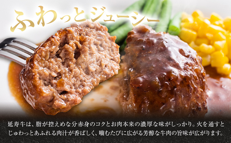 熊本県産 延寿牛 あか牛 ハンバーグ 約150g×10個 合計約1.5kg 株式会社原田畜産《30日以内に出荷予定(土日祝除く)》小分け 個包装 お肉 和牛 ハンバーグ 焼くだけ 熊本県産 九州産 国産 冷凍 送料無料---184-2651---