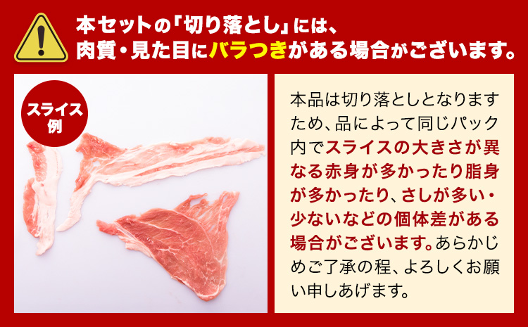 豚肉 ひごの ポーク 切り落とし 4.5kg 豚肉 しゃぶしゃぶ 切り落とし スライス 以上 真空 不揃い 数量限定 簡易包装 冷凍配送 小分け 《7-14日以内に出荷予定(土日祝除く)》 豚肉 豚 ぶた---300-5151---