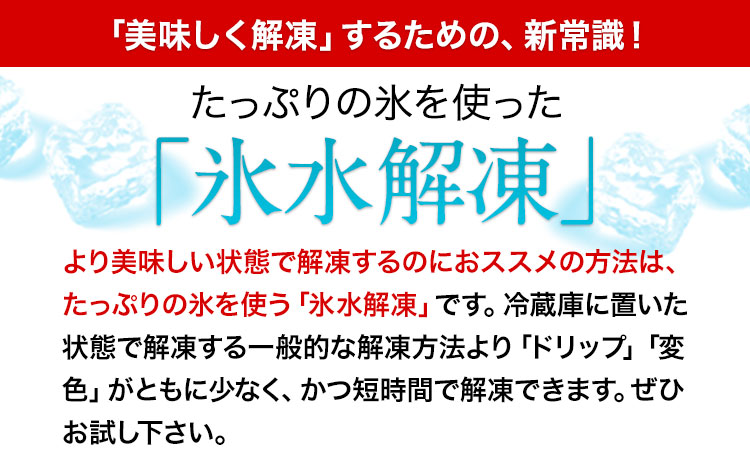 7種のバラエティ馬刺しセット 600g《6月中旬-9月中旬頃出荷》赤身 さし 上ロース たてがみ コーネ 馬トロ 馬ひも レバー ハツ 国産 熊本肥育 冷凍 生食用 肉 絶品 牛肉よりヘルシー 馬肉 熊本県 菊池市 送料無料---kikuchi_lcl_285_600g---