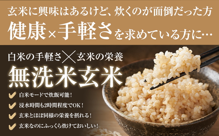 令和7年産 熊本県産 菊池米 玄米 5kg 1袋5kg 株式会社くまもとごはん 《30日以内に出荷予定(土日祝除く)》米 お米 令和7年産 九州産 熊本県産  送料無料---026-5039---