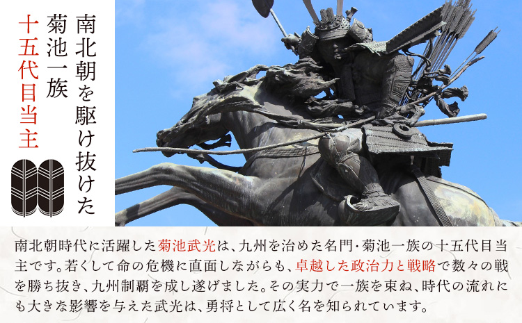 菊池武光公 ポロシャツ・タオルセット 白 Lサイズ 株式会社アイエヌ《90日以内に出荷予定(土日祝除く)》熊本県 菊池市 シャツ 半袖 ファッション タオル 菊池一族 タオル ポロ 武光公 菊池武光---025-2439-WL---