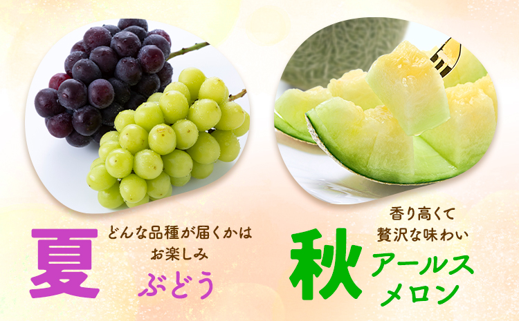 【4回定期便】旬のフルーツ便【養生市場】 定期便 ぶどう詰め合わせ約1.5kg メロン約2kg×2玉 いちご   スイカ《2026年4月中旬-2027年3月上旬頃出荷》 果物 フルーツ 九州産 熊本県産 送料無料---003-1583---