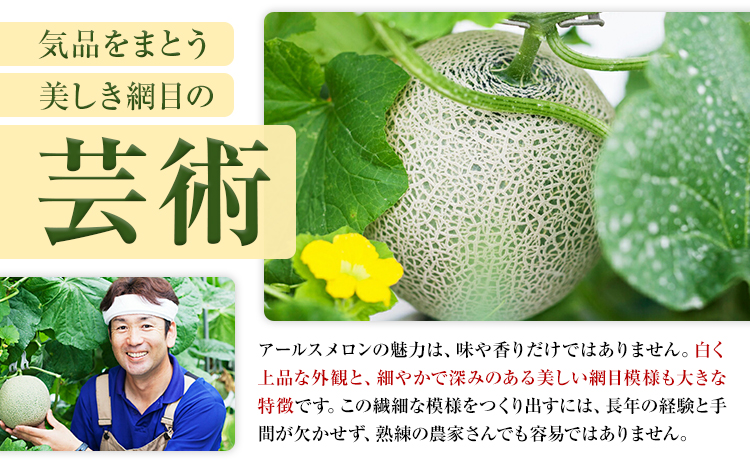 アールスメロン 2玉 くまモン箱入り 2L以上【メロンドーム】 メロン 果物 フルーツ マスクメロン 九州産 熊本県産 送料無料《7月中旬-11月上旬頃出荷》---003-1134---
