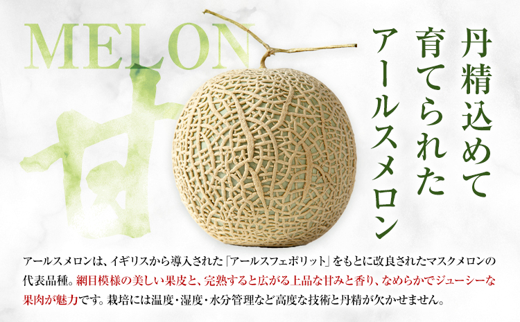 アールスメロン 約2kg×3玉 特選 (約6kg)【養生市場】メロン 果物 フルーツ マスクメロン 九州産 熊本県産 送料無料 《2026年10月中旬-11月中旬頃出荷予定》---003-1152---