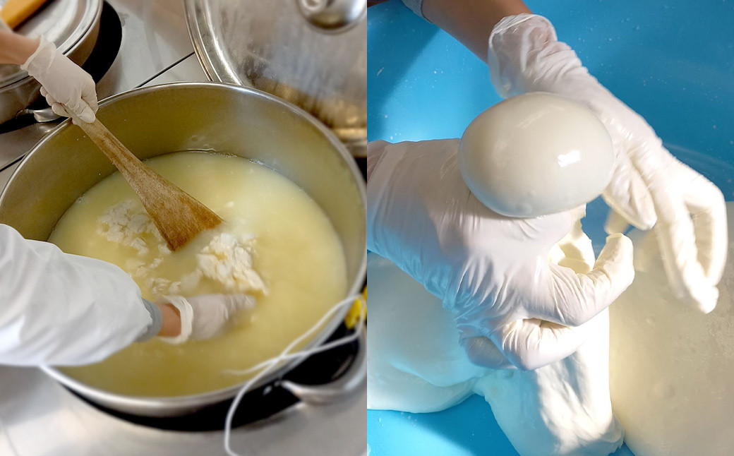 モッツァレラチーズ 「ミル爆」計600g（100g×6個）チーズ《90日以内に出荷予定(土日祝除く)》---018-1986---