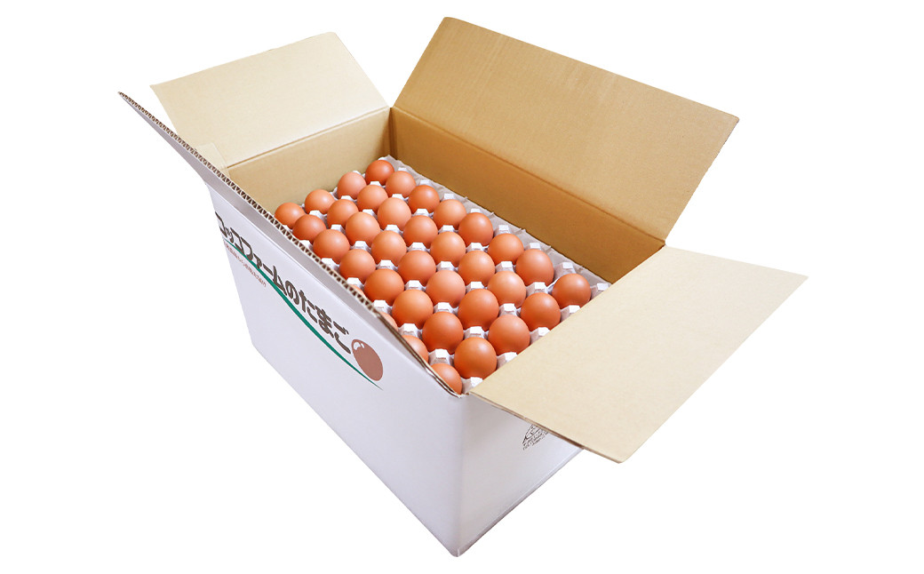 コッコファームのたまご 160個入 たまご タマゴ 卵《90日以内に出荷予定(土日祝除く)》---043-2019---